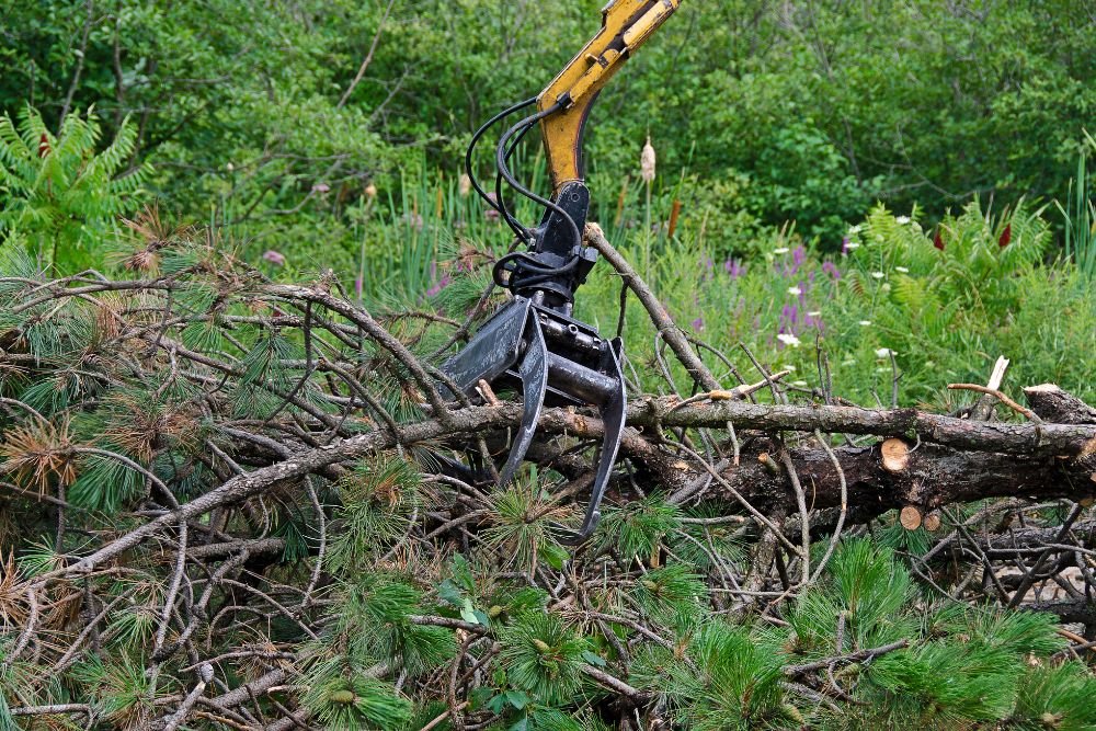 An outdoor junk removal service in Springfield, IL, features a large yellow and black machine cutting a tree.